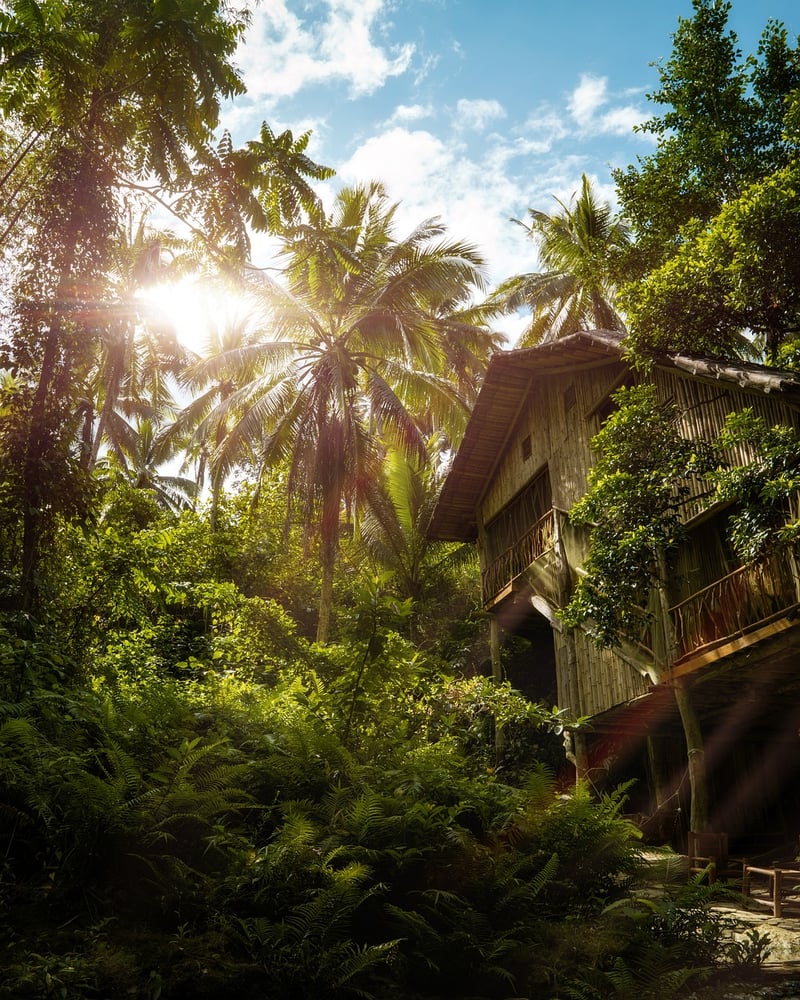 Treehouse in the forest landscape